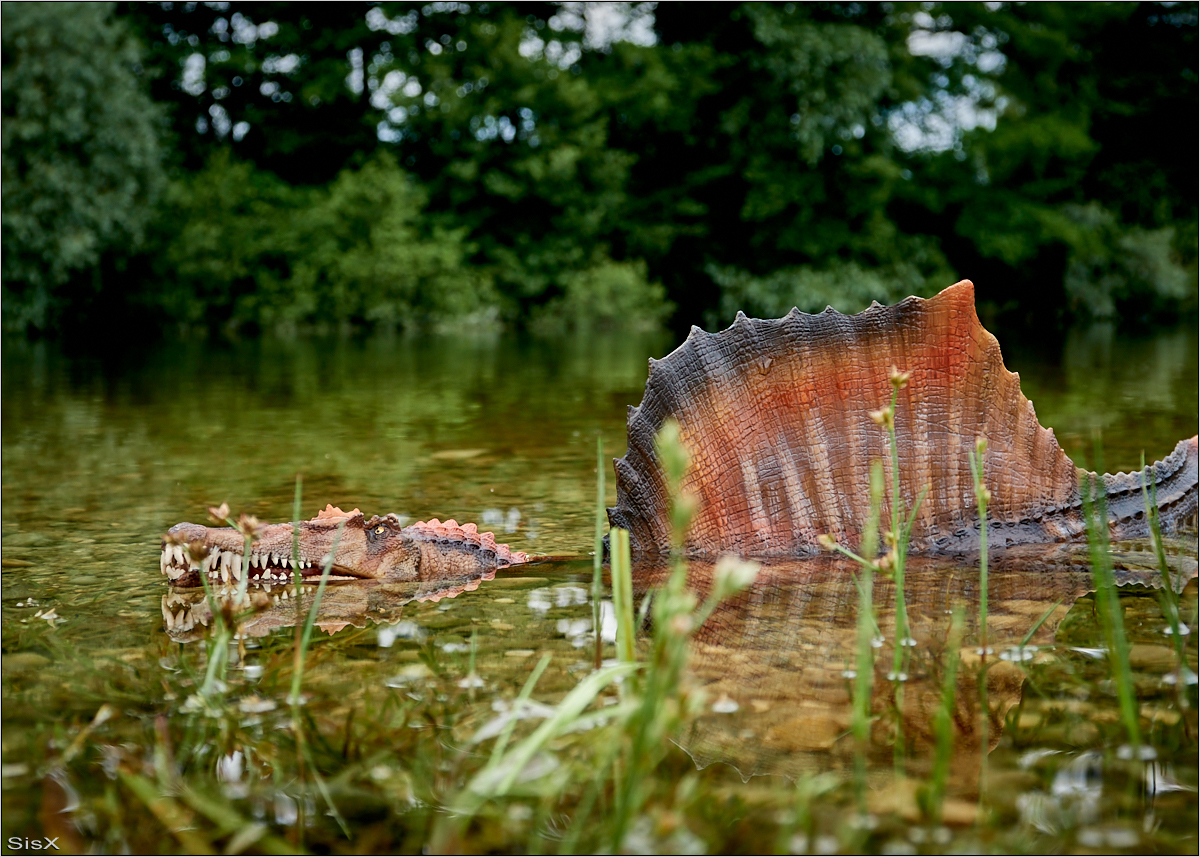 Spinosaurus Aegyptiacus