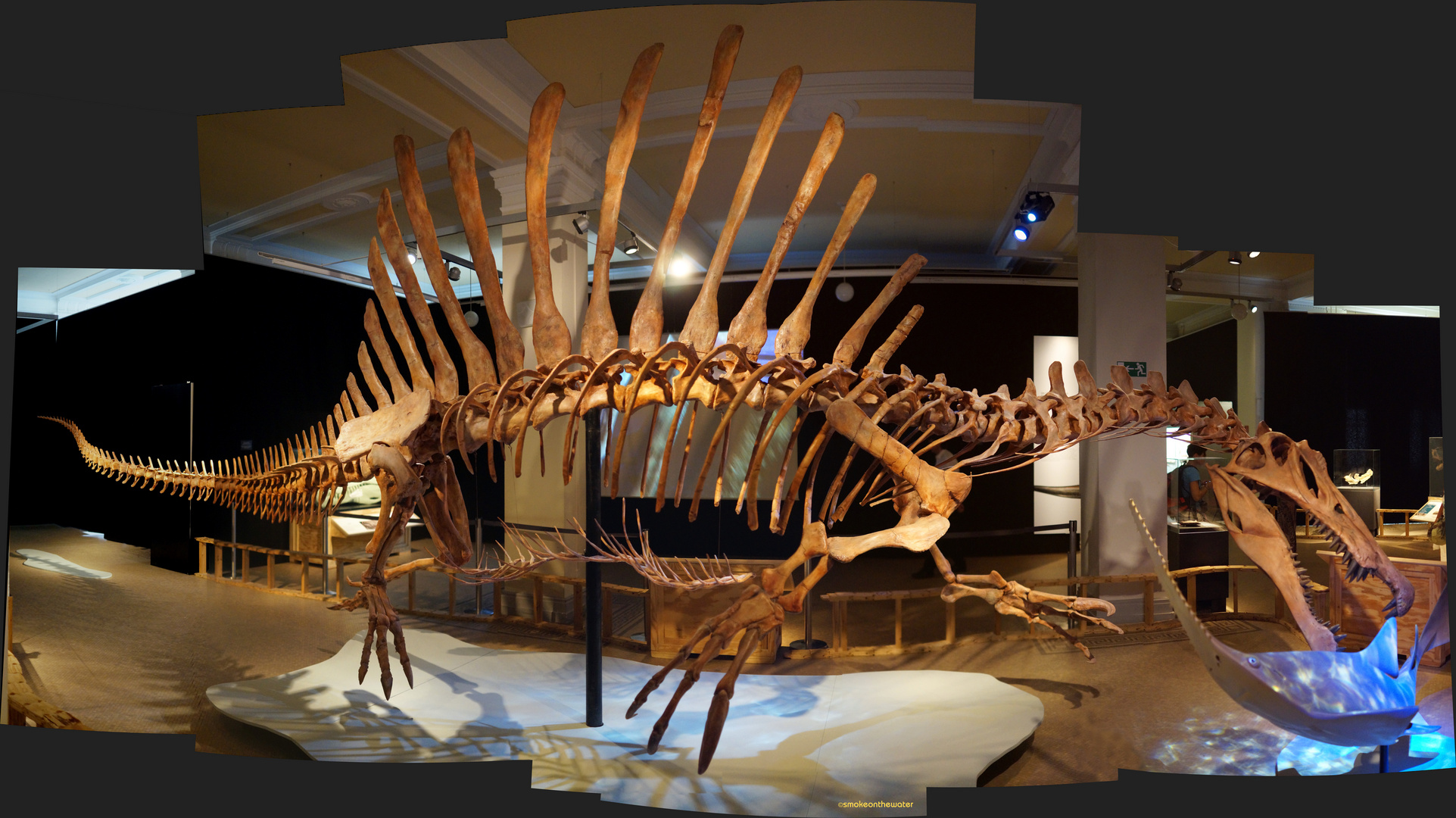 Spinosaurus aegyptiacus, größter bekannter Raubsaurier