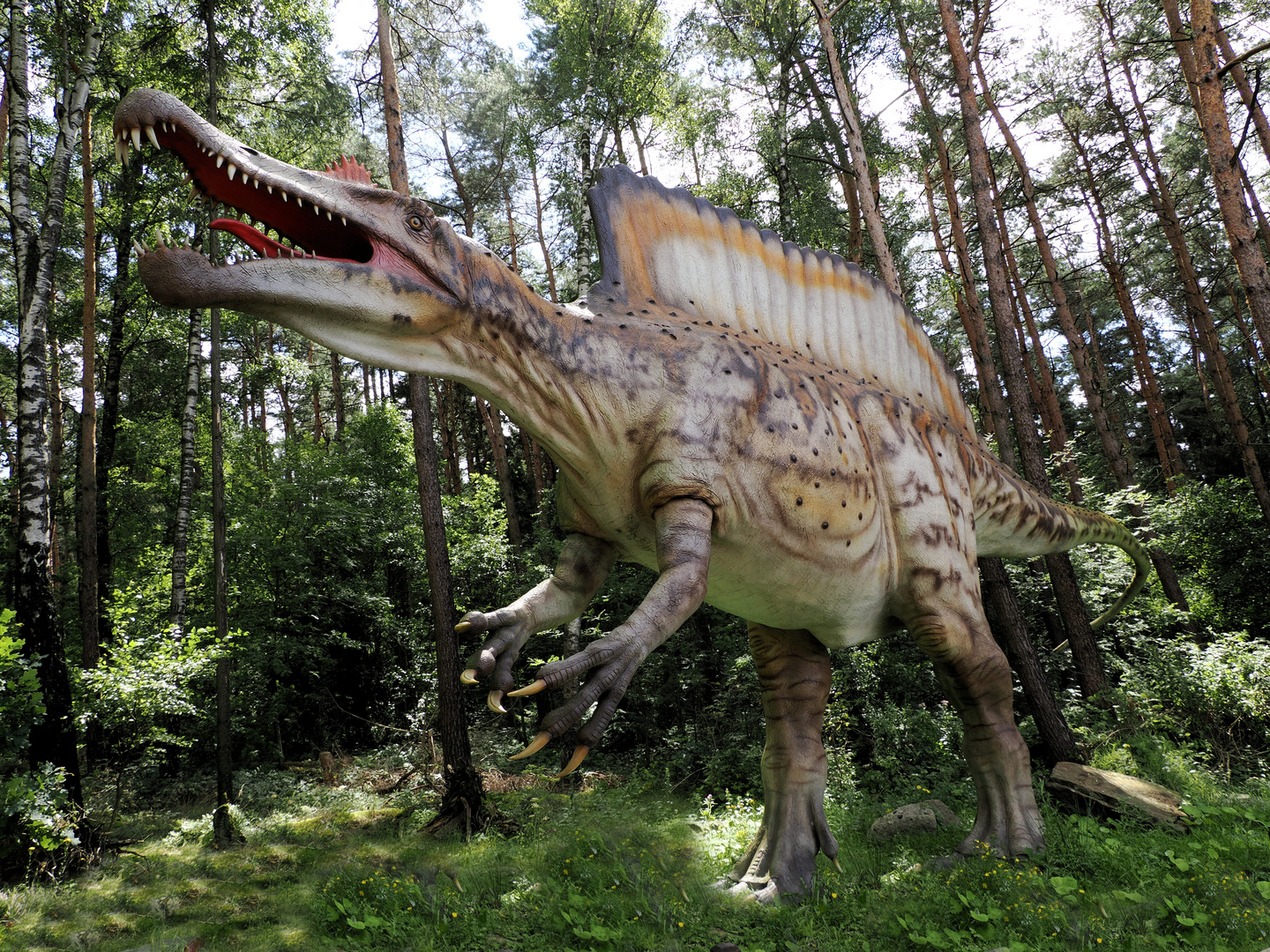 Spinosaurus Hat im Sumpf gejagt..