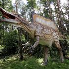 Spinosaurus Hat im Sumpf gejagt..