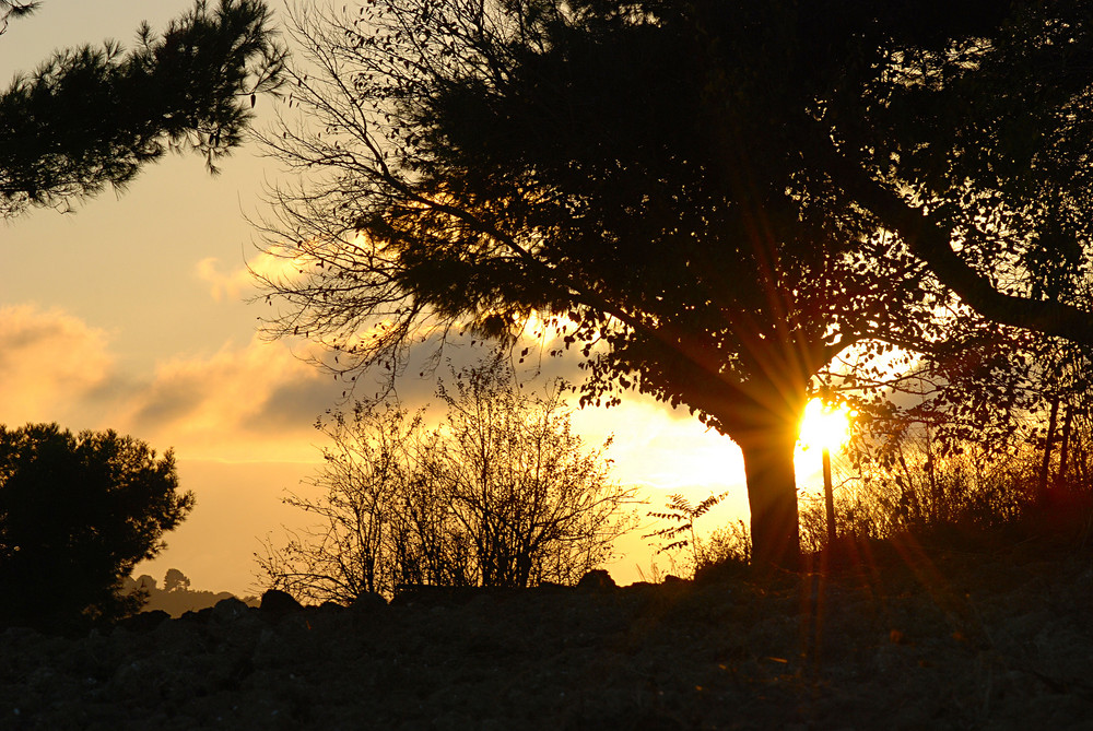 Spiragli di luce al tramonto