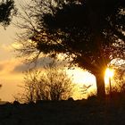 Spiragli di luce al tramonto