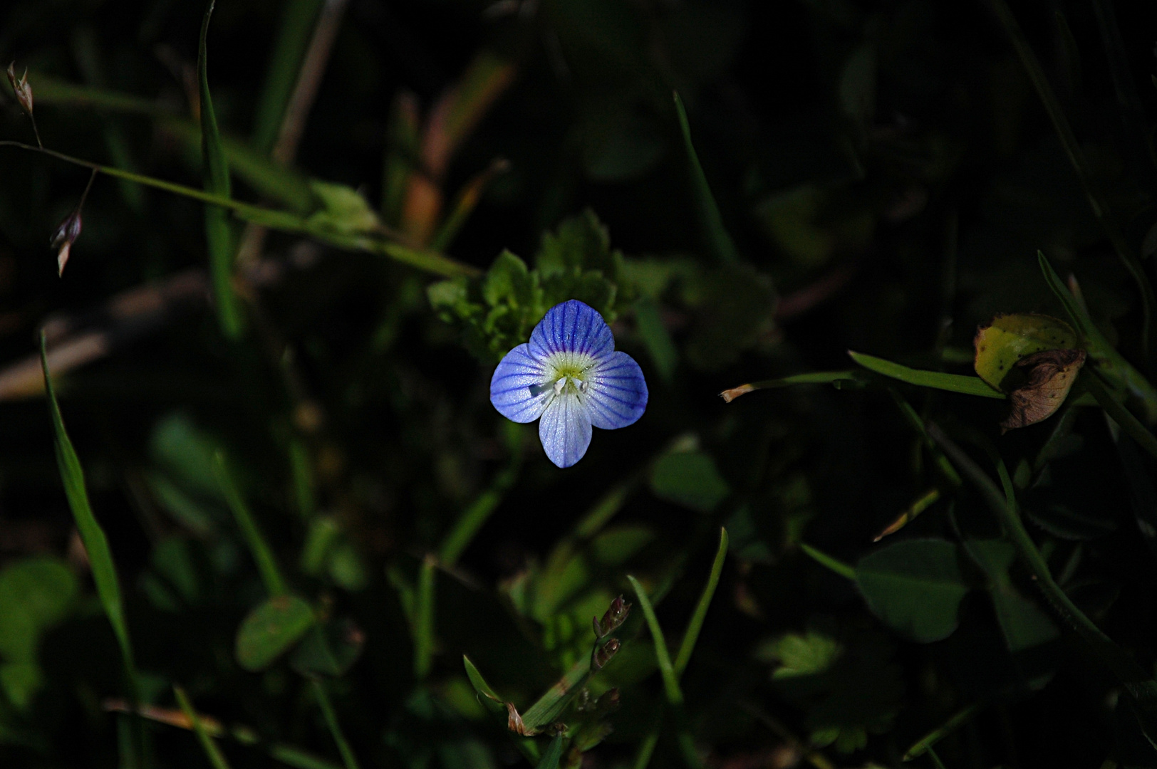 Spiraglio di luce