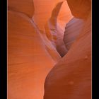 "Spiral Rock Arches"