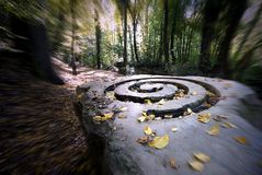 Spirale im Wald