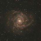 Spiralgalaxie IC 342