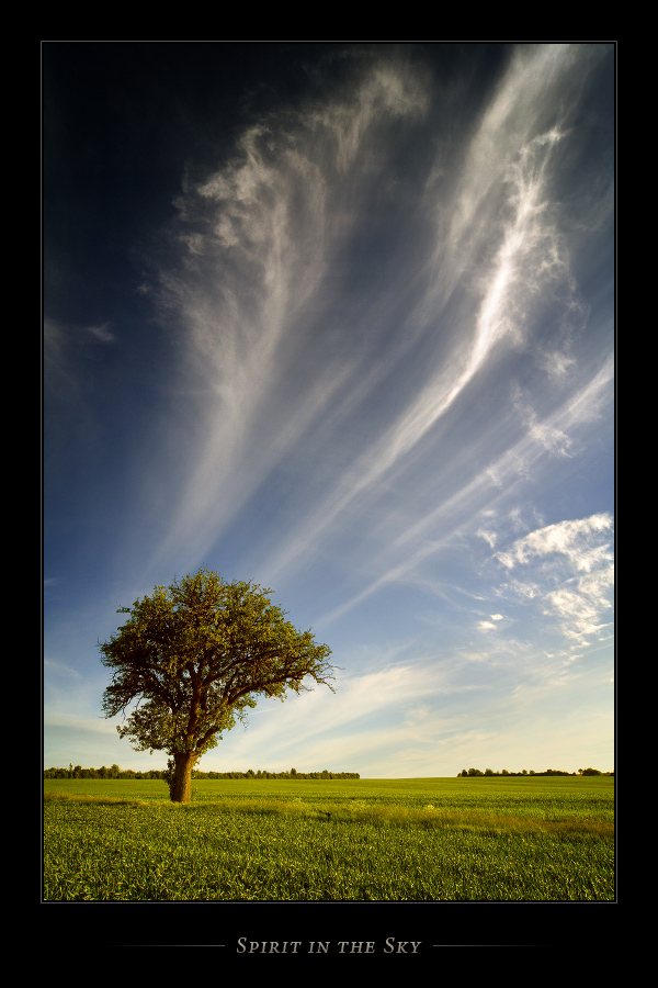 Spirit in the Sky II