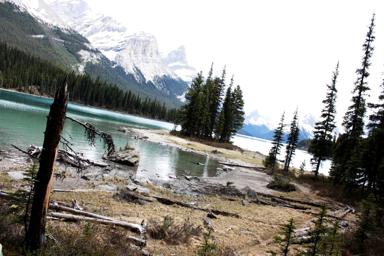 Spirit Island / Maligne Lake