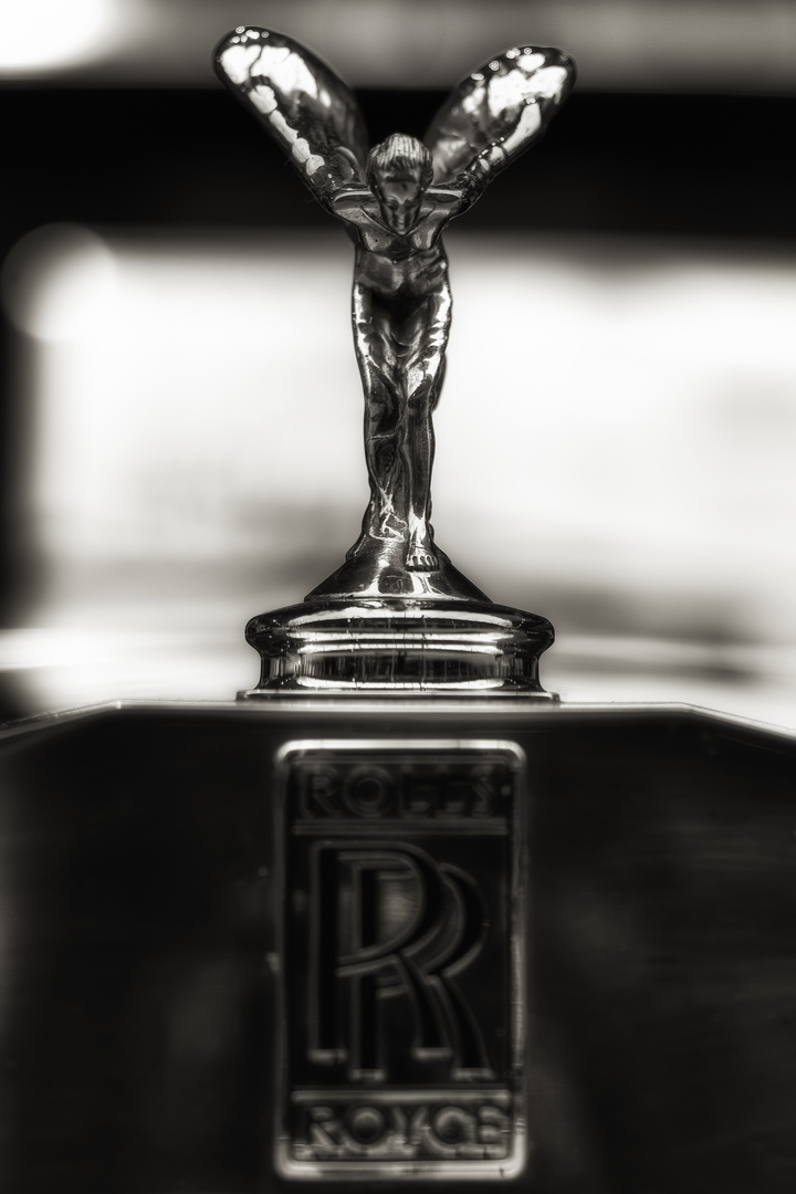 ***spirit of ecstasy***