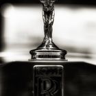 ***spirit of ecstasy***