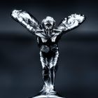 **spirit of ecstasy**