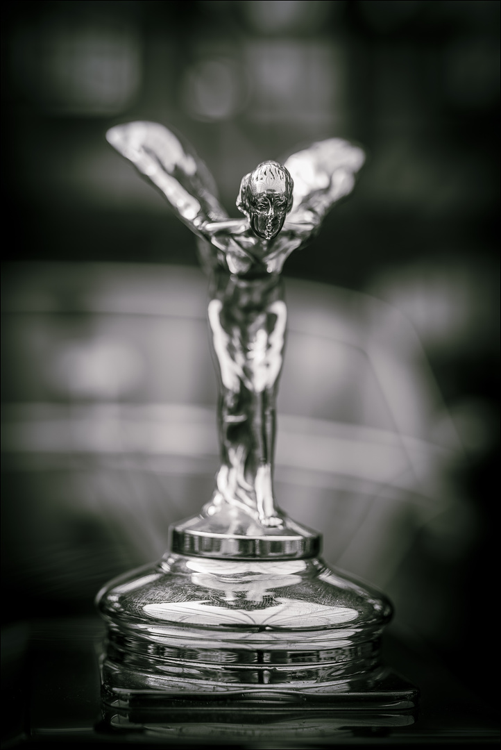 Spirit of Ecstasy...     ...oder...