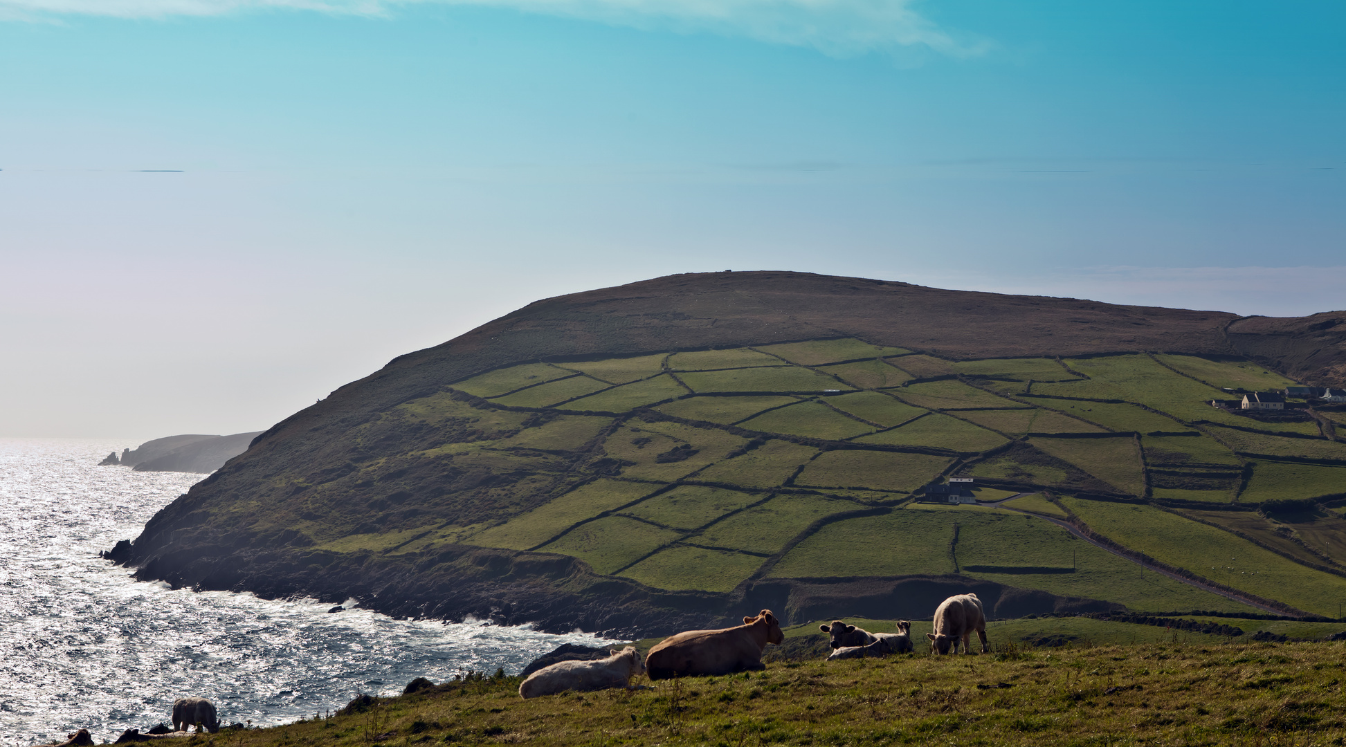 Spirit of Ireland