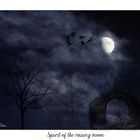 Spirit of the raising moon