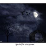 Spirit of the raising moon