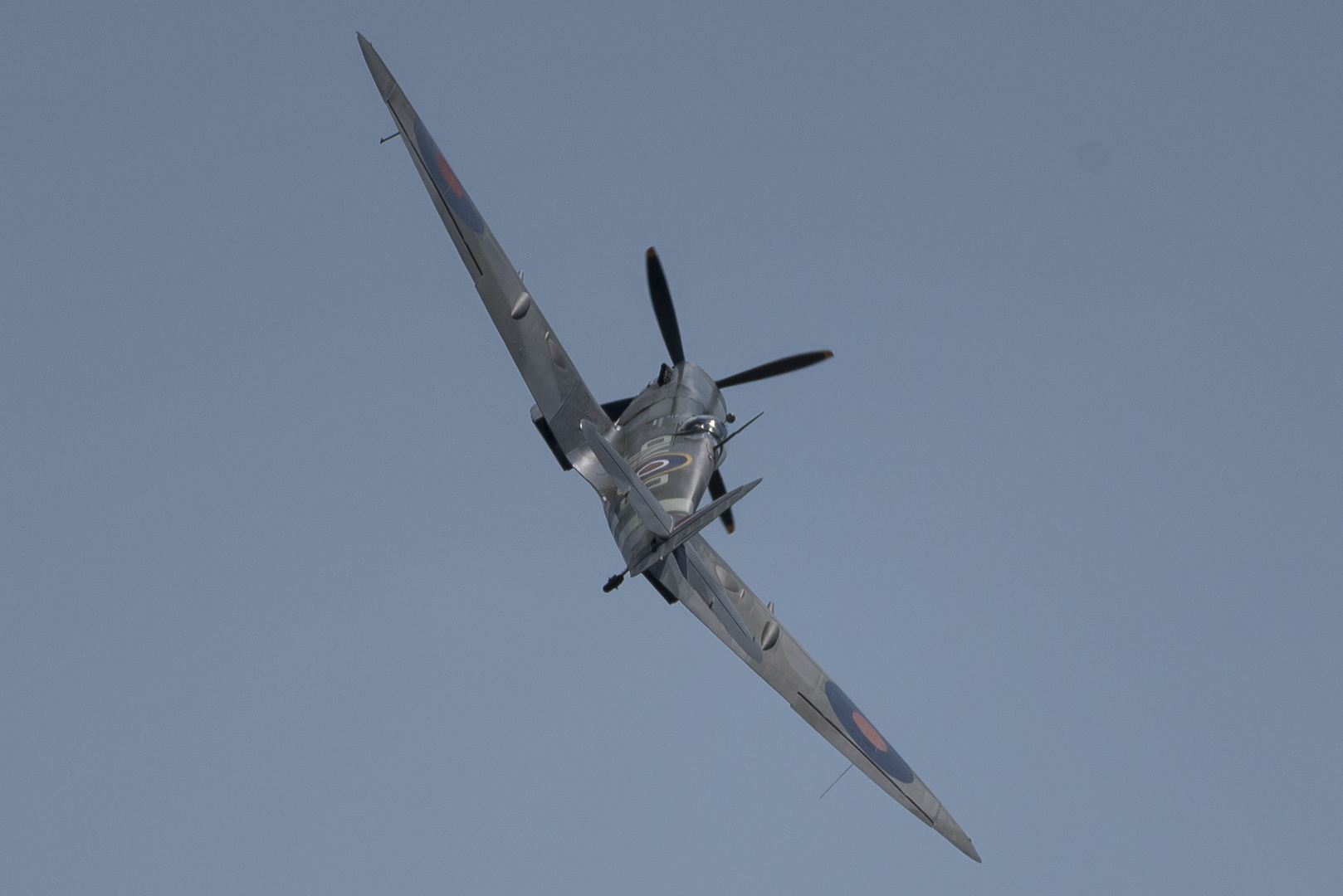 Spitfire