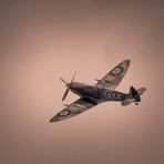 Spitfire