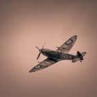 Spitfire