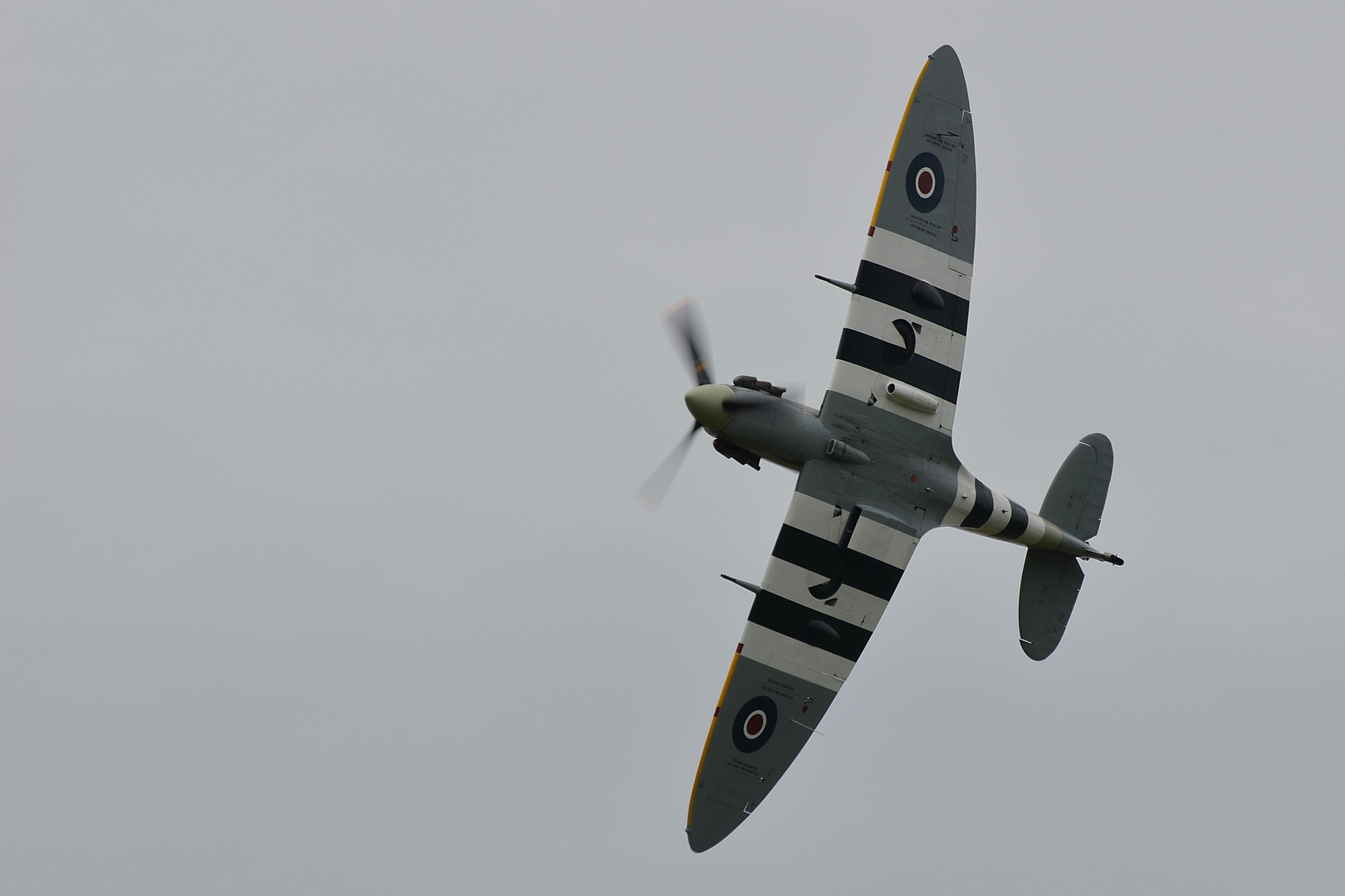 Spitfire