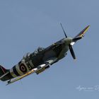 Spitfire