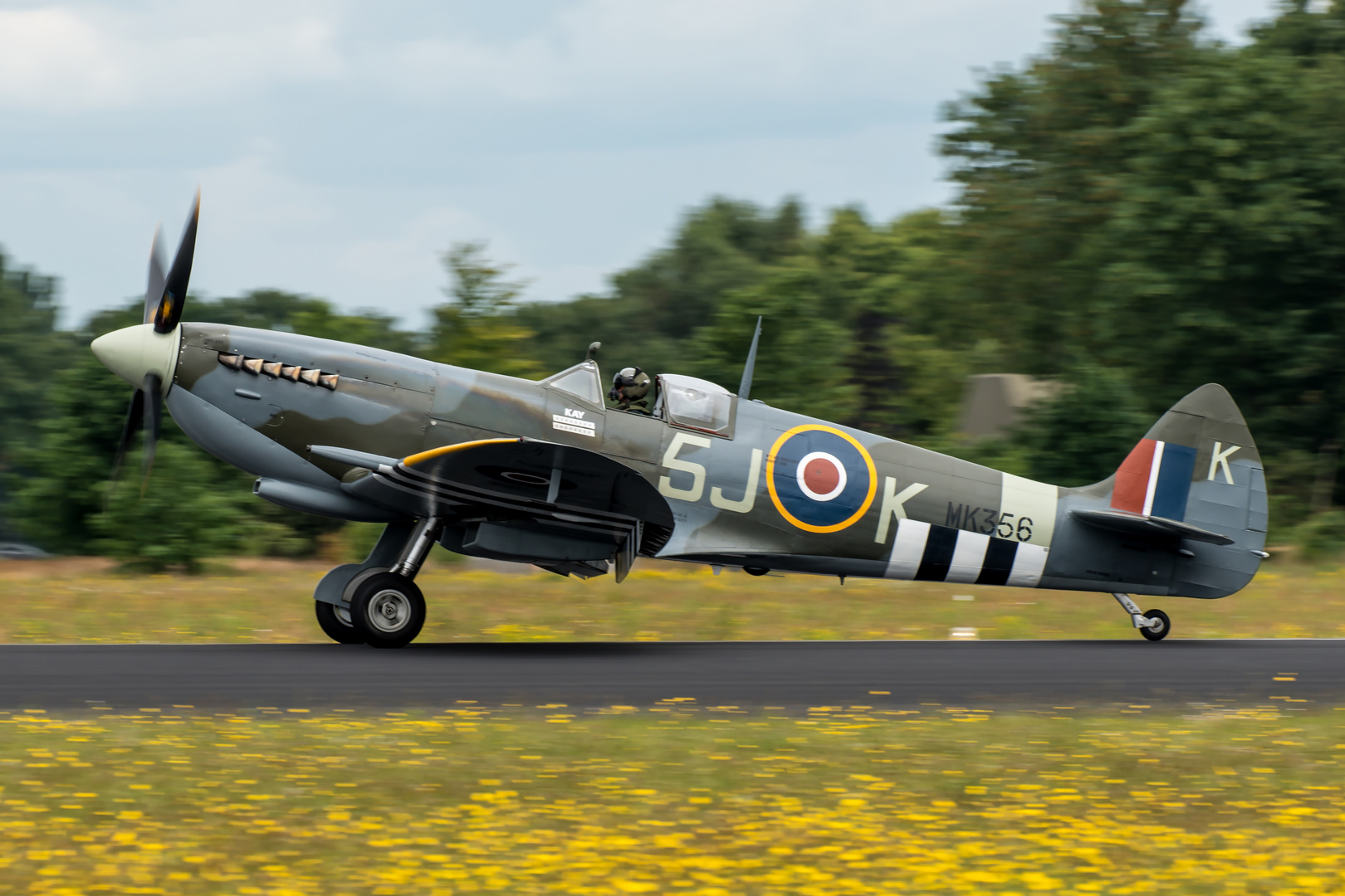 Spitfire