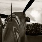 spitfire goodwood