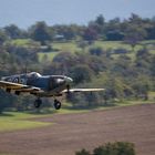 Spitfire Hahnweide 2019