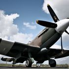 Spitfire PR. XIX