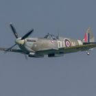 Spitfires