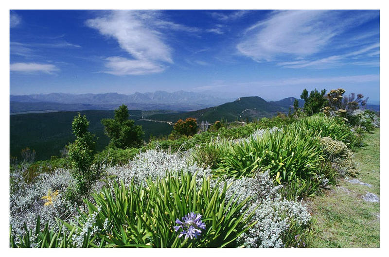 Spitskop Nature Reserve