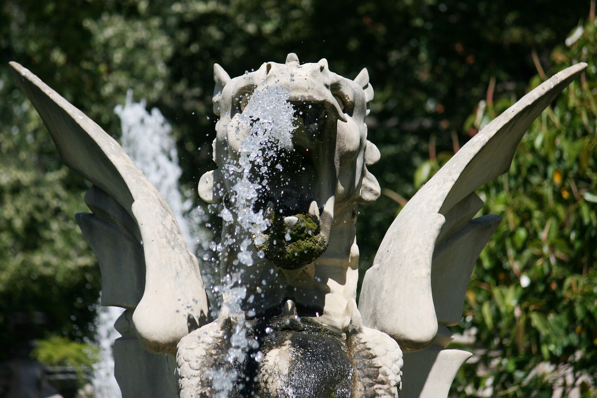 spitting animal at La Cascada - 06/2010