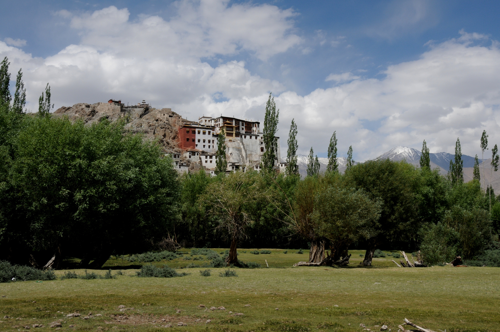 Spituk monastery