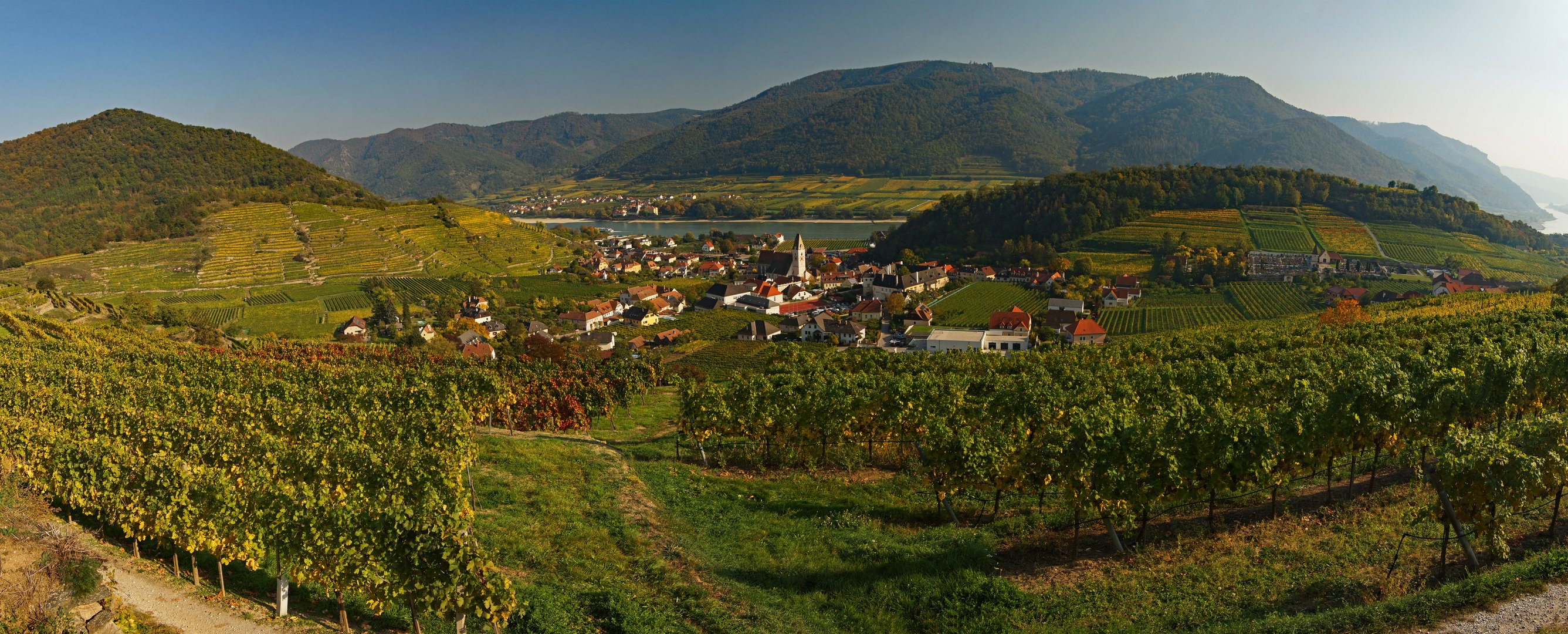 Spitz an der Donau - Panorama