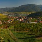 Spitz an der Donau - Panorama