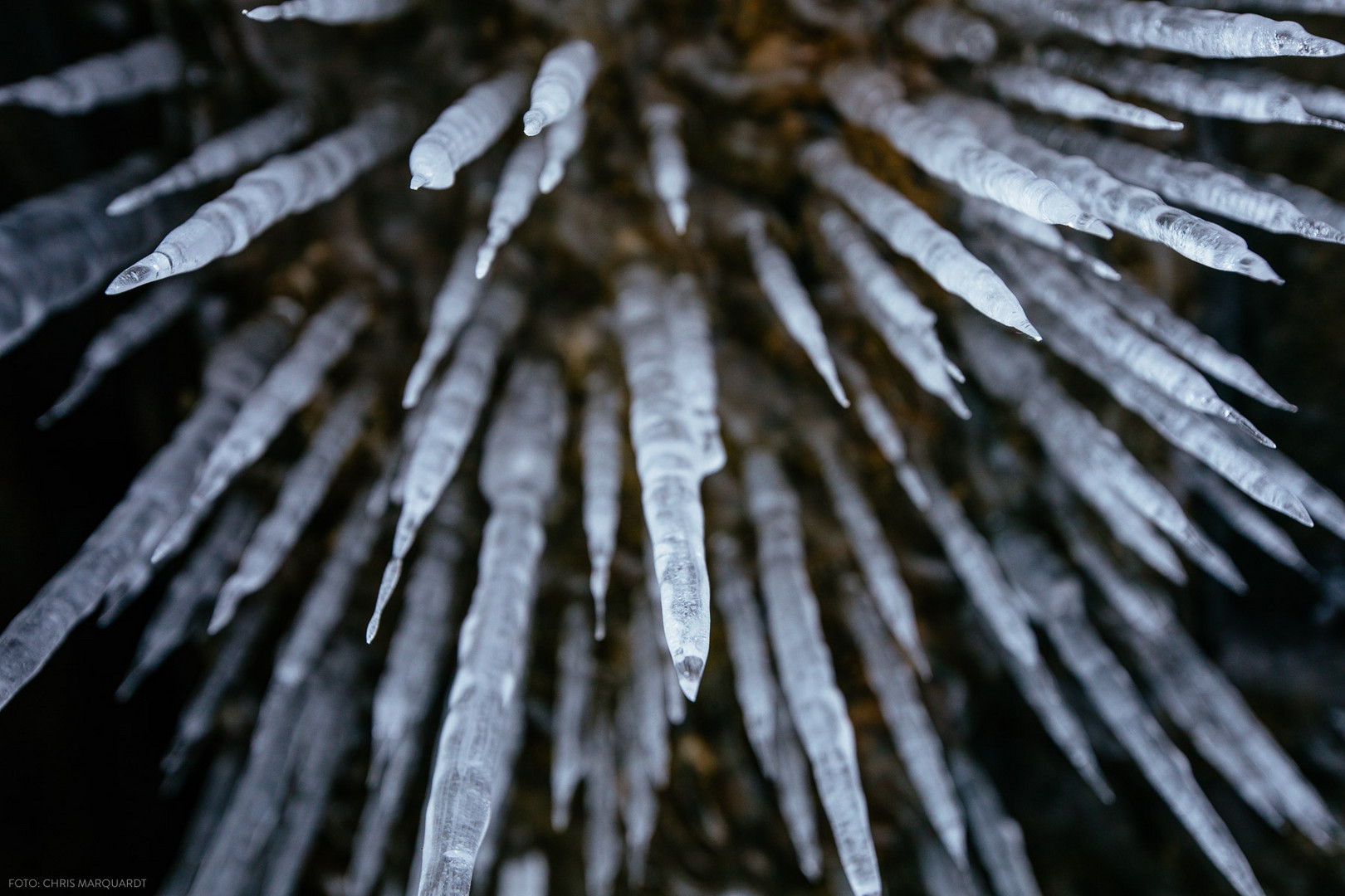 Spitz Foto & Bild europe, eastern europe, russia Bilder auf