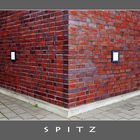 spitz