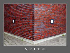 spitz