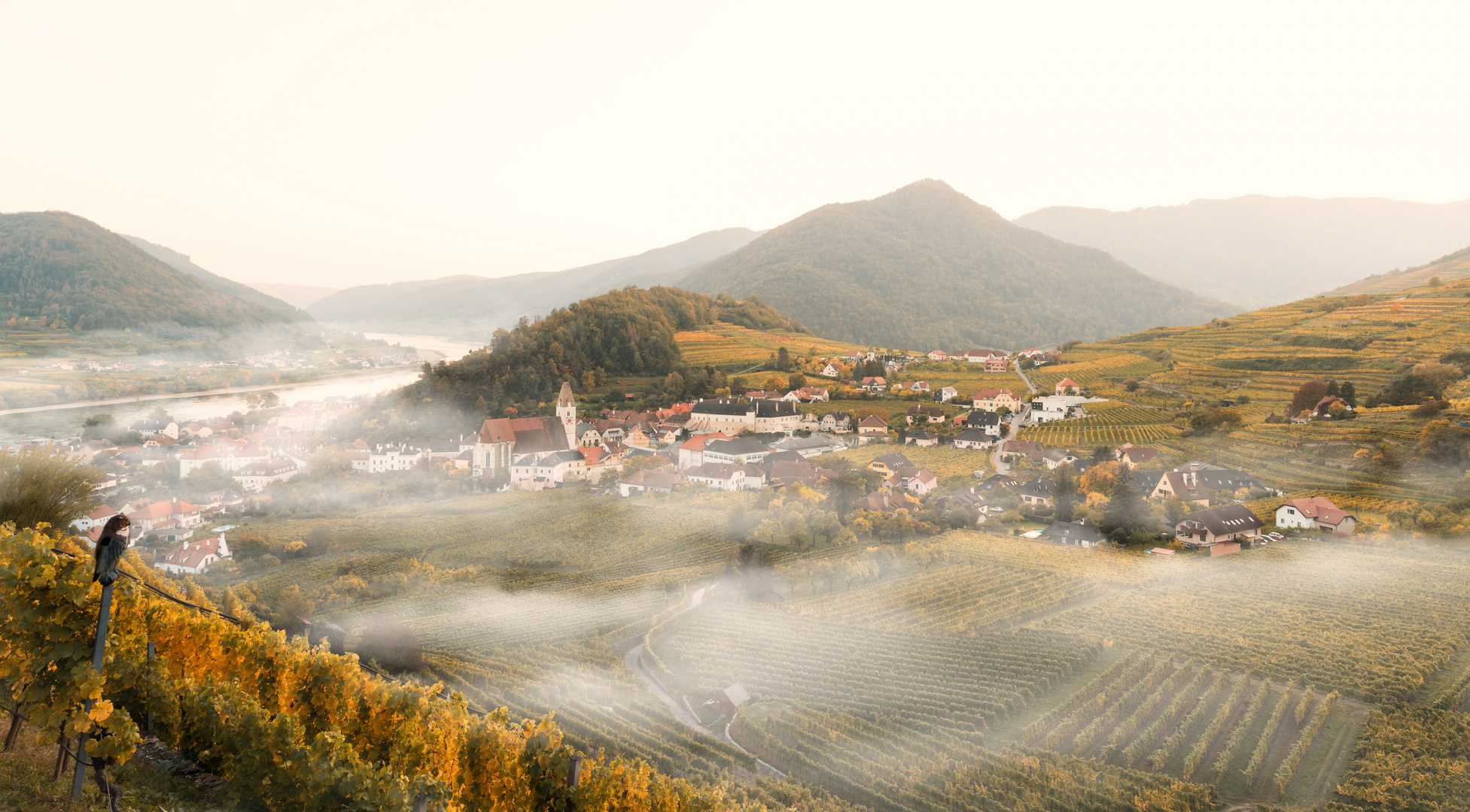 Spitz in der Wachau