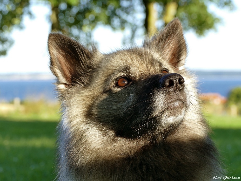 Spitz pass auf!