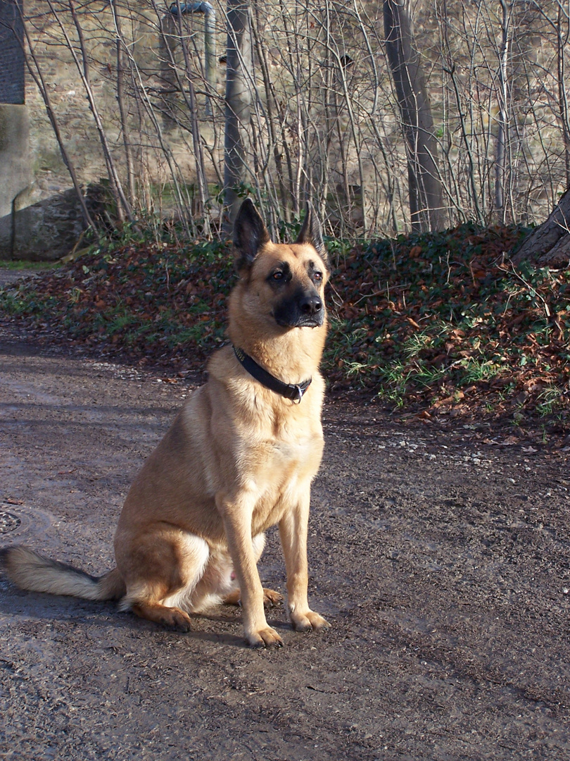 "spitz" pass auf...