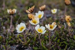 Spitzbergen [17]