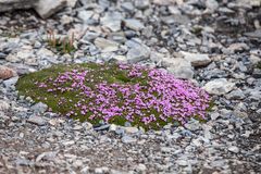 Spitzbergen [18]