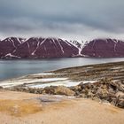 Spitzbergen [28]