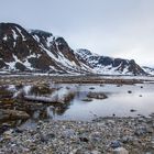 Spitzbergen [44]