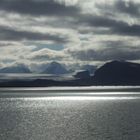 Spitzbergen Bucht von Ny Alesund