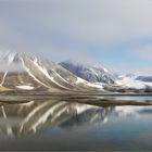 Spitzbergen Gåshamna