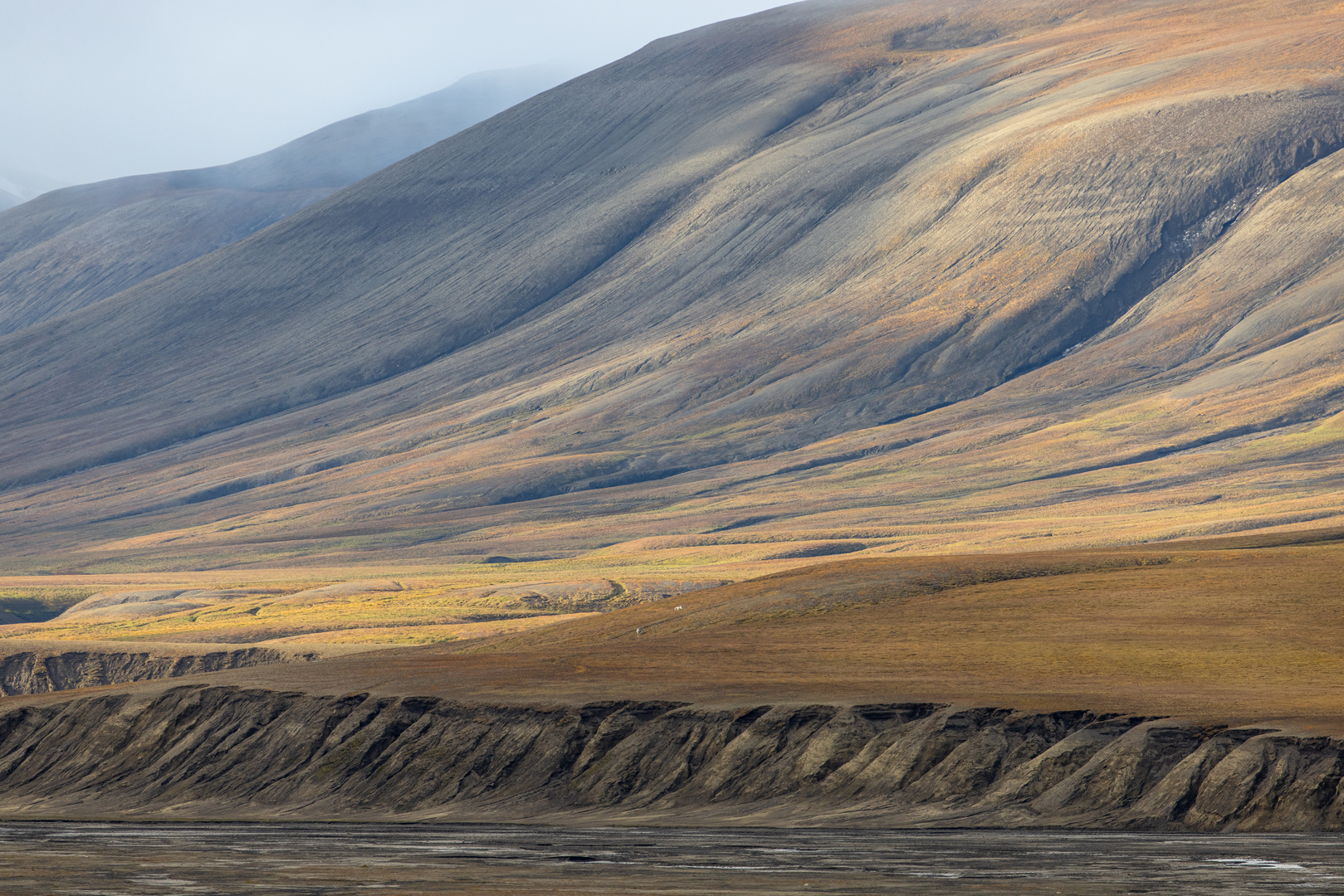 Spitzbergen hat nicht nur spitze Berge