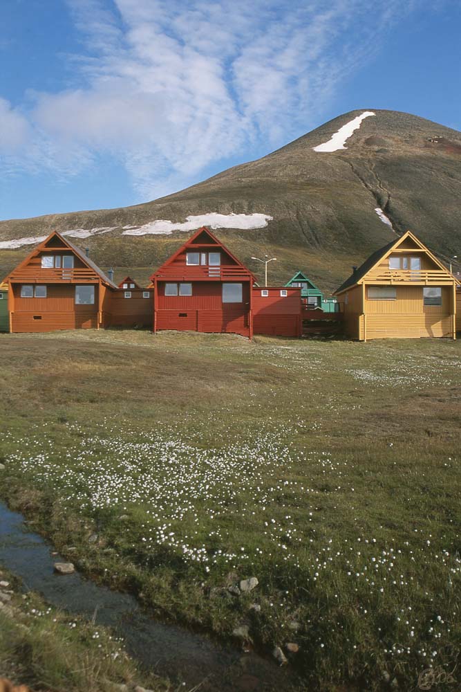 Spitzbergen in Farbe #1