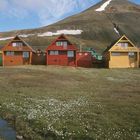 Spitzbergen in Farbe #1