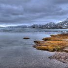 Spitzbergen Juni 2017